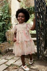 Cream Floral Tiered Mesh Dress (3mths-7yrs) - Image 1 of 6