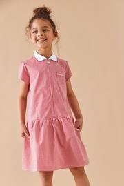 Red Cotton Rich School Gingham Zip Dress (3-14yrs) - Image 1 of 6