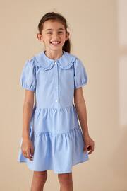 Blue Cotton Rich School Gingham Tiered Pretty Collar Dress (3-14yrs) - Image 1 of 7
