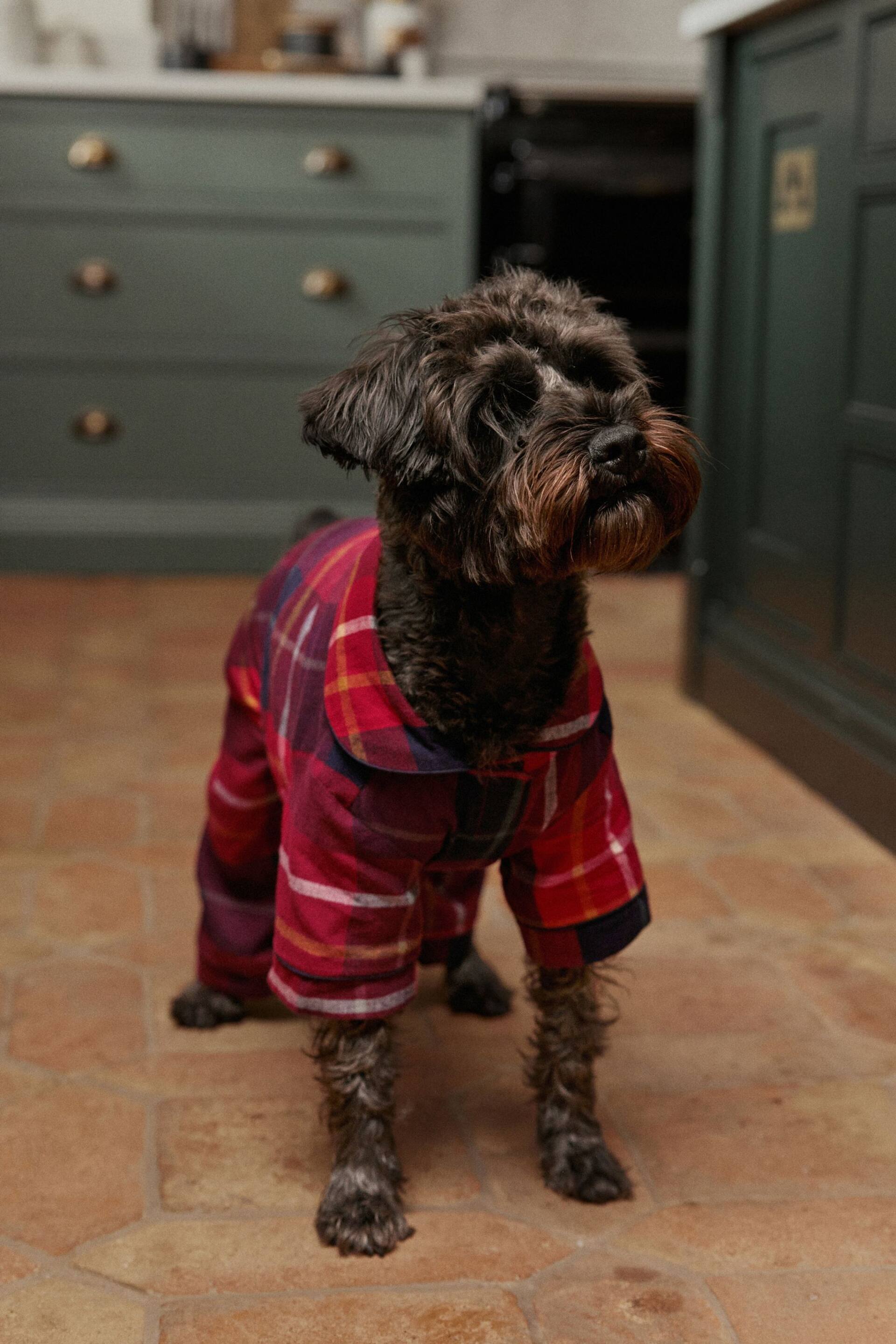 Red Check Matching Family Pet Christmas Cotton Pyjamas - Image 1 of 8