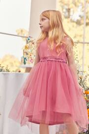 Rose Pink Mesh Tie Back Party Dress (3-16yrs) - Image 1 of 8
