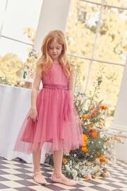 Rose Pink Mesh Tie Back Party Dress (3-16yrs) - Image 2 of 8