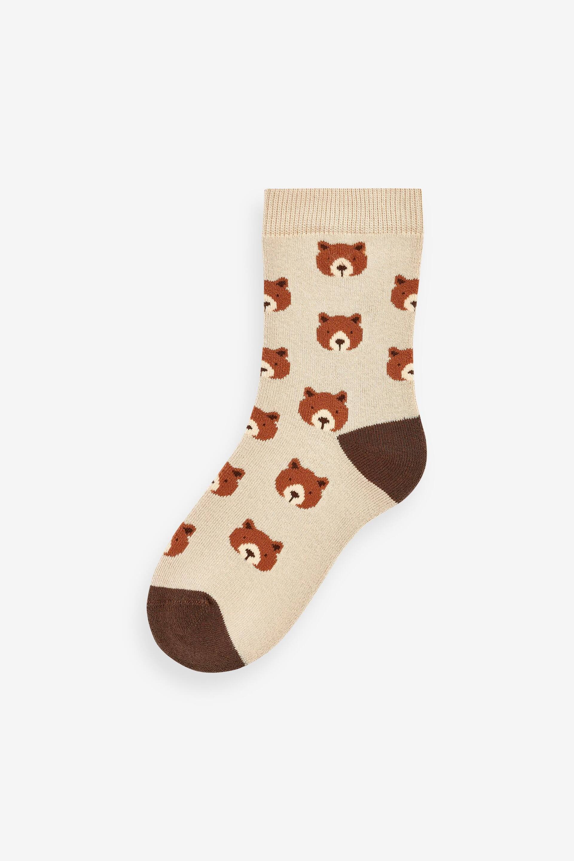 Bear Stripe 5 Pack Cotton Rich Socks 5 Pack - Image 2 of 6