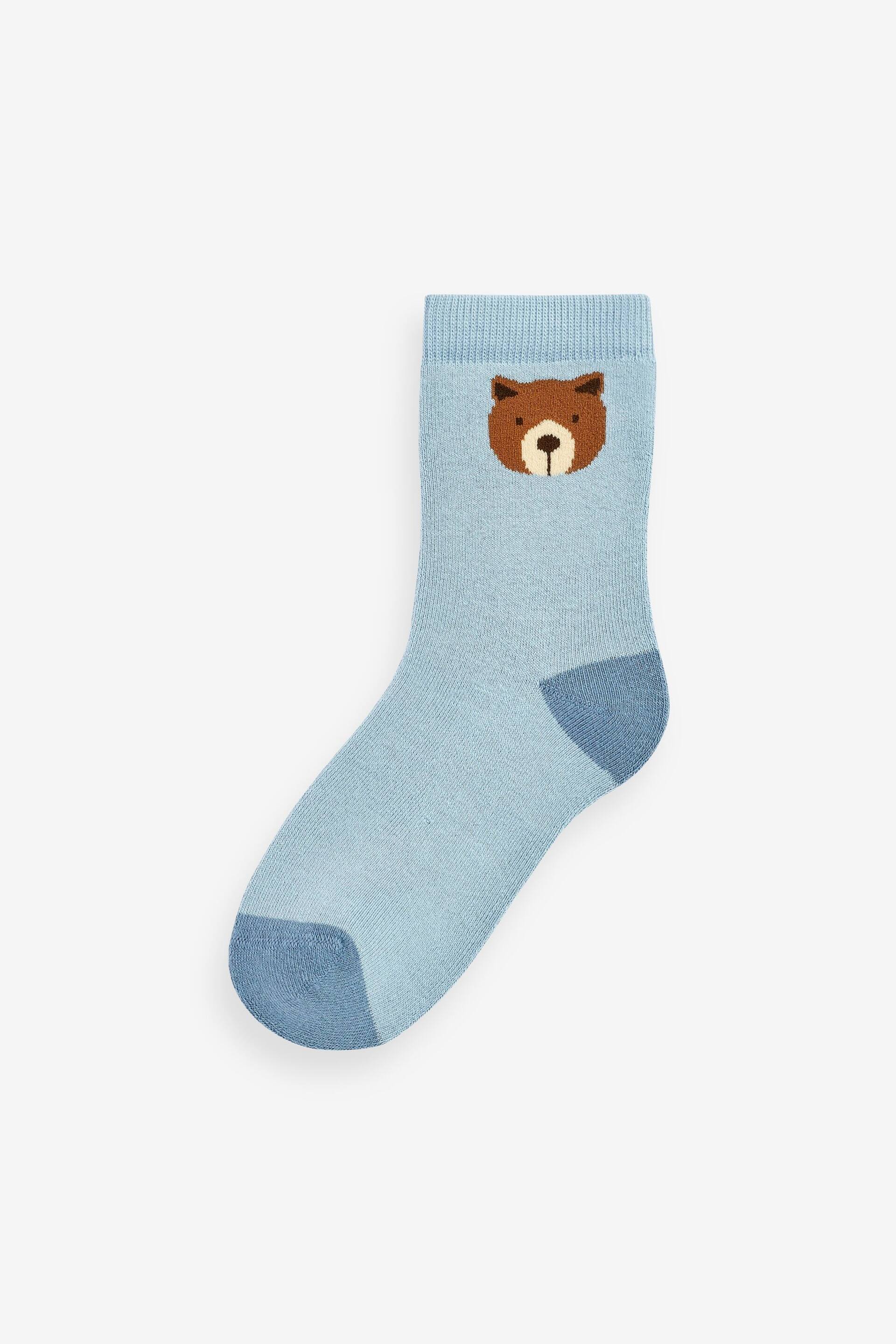 Bear Stripe 5 Pack Cotton Rich Socks 5 Pack - Image 4 of 6