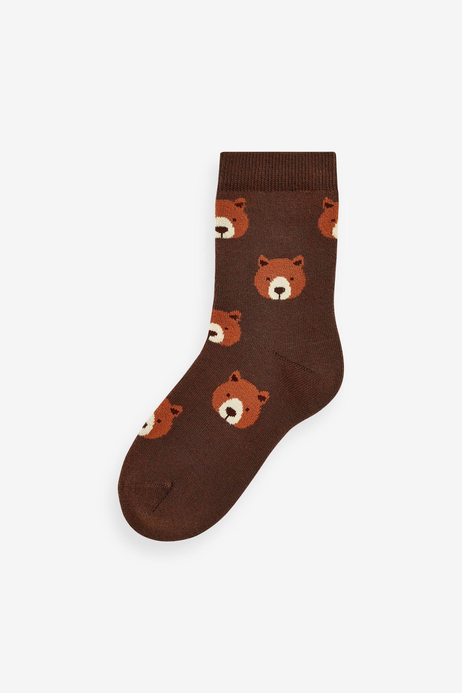 Bear Stripe 5 Pack Cotton Rich Socks 5 Pack - Image 6 of 6