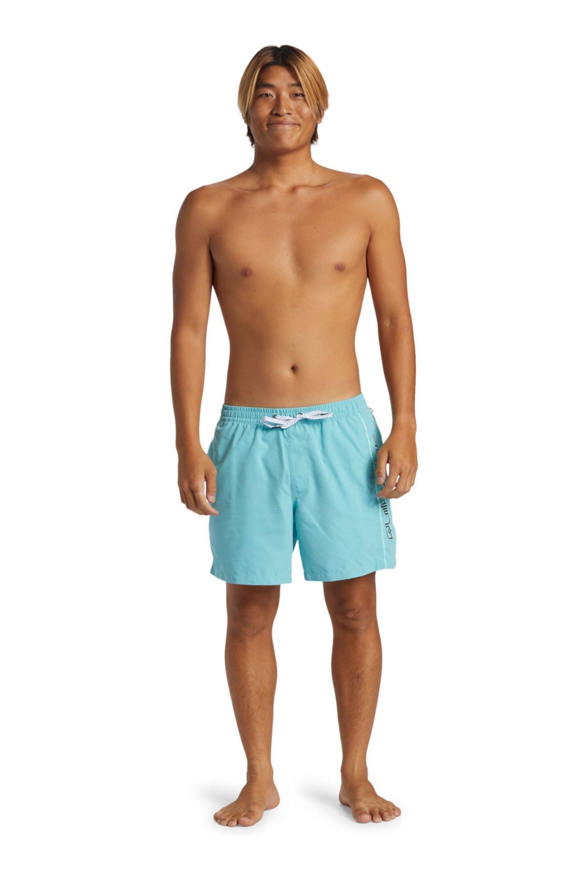 Quiksilver Blue Logo Volley Shorts - Image 5 of 7
