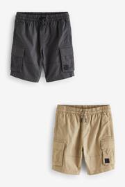 Charcoal Grey/Stone Cargo Shorts 2 Pack (3-16yrs) - Image 1 of 4
