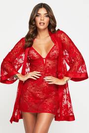 Ann Summers Enlightening Lace Chemise Nightie - Image 4 of 5