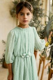 Mint Green Chiffon Corsage Dress (3-16yrs) - Image 2 of 8