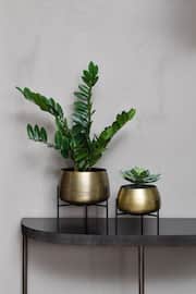 Libra Brass Clyde Tabletop Brass Set of 2 Planters on Black Stands - Image 1 of 4