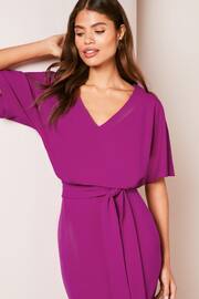 Lipsy Pink Petite V Neck Flutter Sleeve Belted Midi Dress - Image 4 of 4