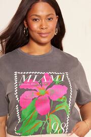 Curves Like These Grey Miami Short Sleeve Graphic T-Shirt - Image 1 of 4