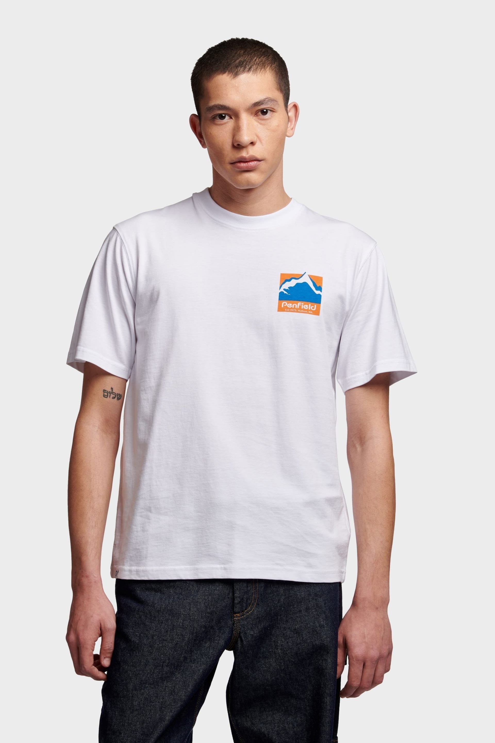 Penfield Mens Relaxed Fit Mountain Scene Back Graphic T-Shirt - Image 1 of 8