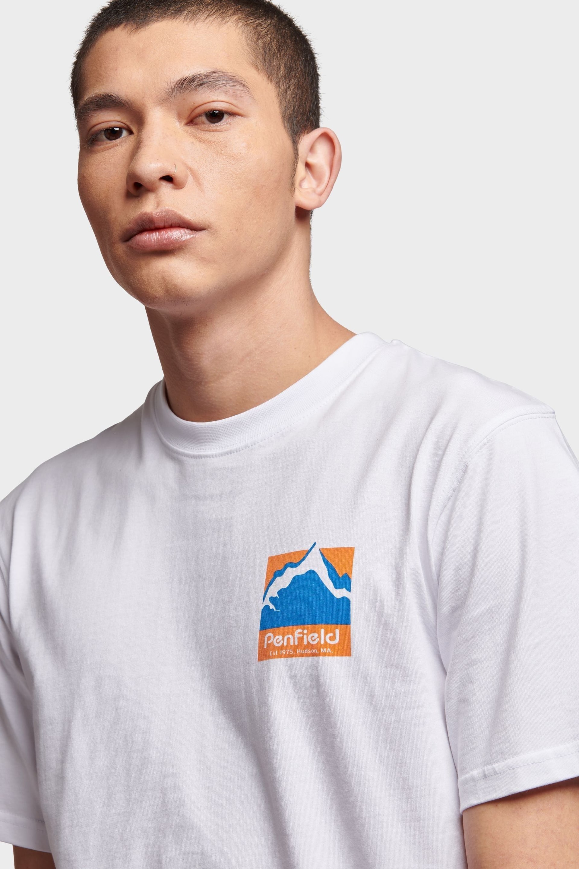 Penfield Mens Relaxed Fit Mountain Scene Back Graphic T-Shirt - Image 4 of 8