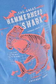FatFace Blue Hammerhead Shark T-Shirt - Image 3 of 4