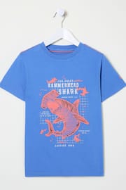 FatFace Blue Hammerhead Shark T-Shirt - Image 4 of 4