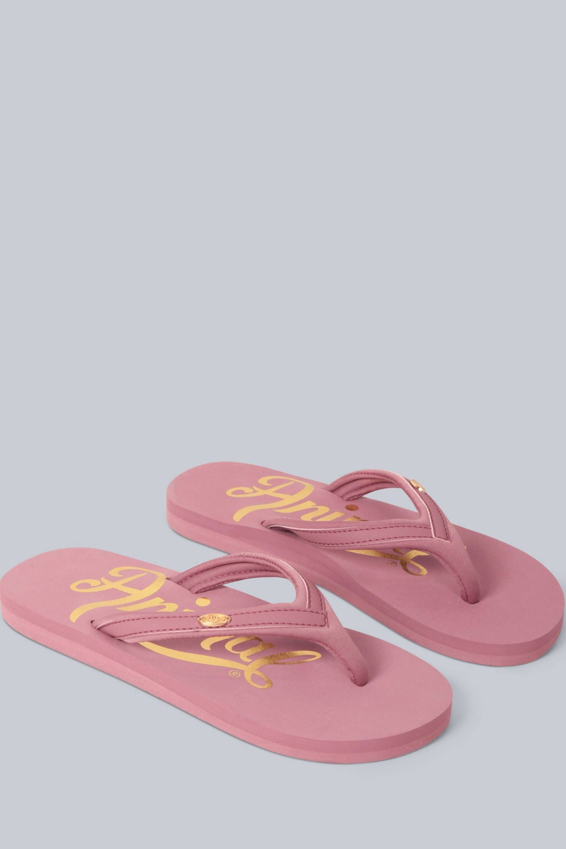 Animal Womens Slim Swish Flip Flops - Image 1 of 5