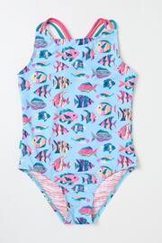FatFace Blue Tropical Fish Swimsuit - Image 5 of 5