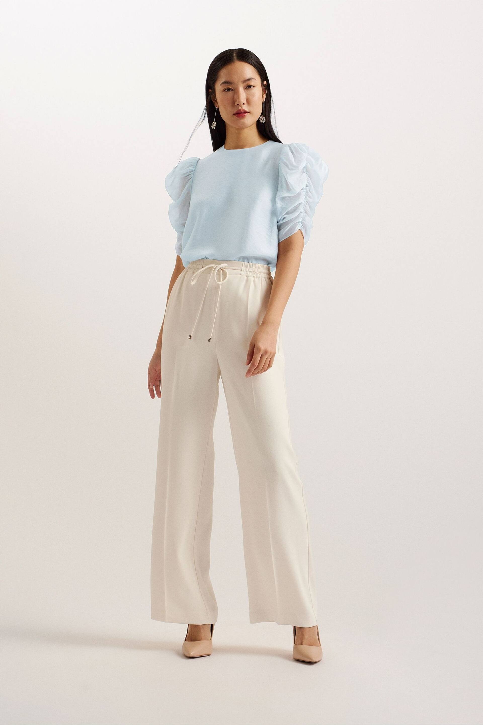 Ted Baker Blue Sachiko Pleated Puff Sleeve Top - Image 1 of 6