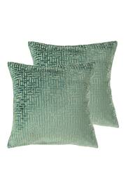 Riva Paoletti 2 Pack Green Delphi Filled Cushions - Image 1 of 4