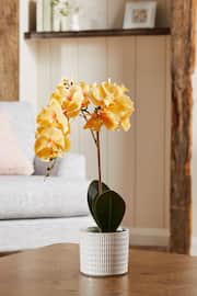 Yellow Artificial Real Touch Orchid In Country Pot - Image 1 of 3