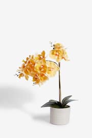 Yellow Artificial Real Touch Orchid In Country Pot - Image 2 of 3