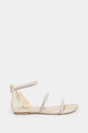 Long Tall Sally Gold Diamante Strap Flat Sandals - Image 1 of 4