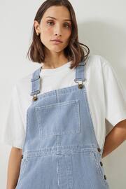 Hush Blue Wilder Striped Dungarees - Image 1 of 5