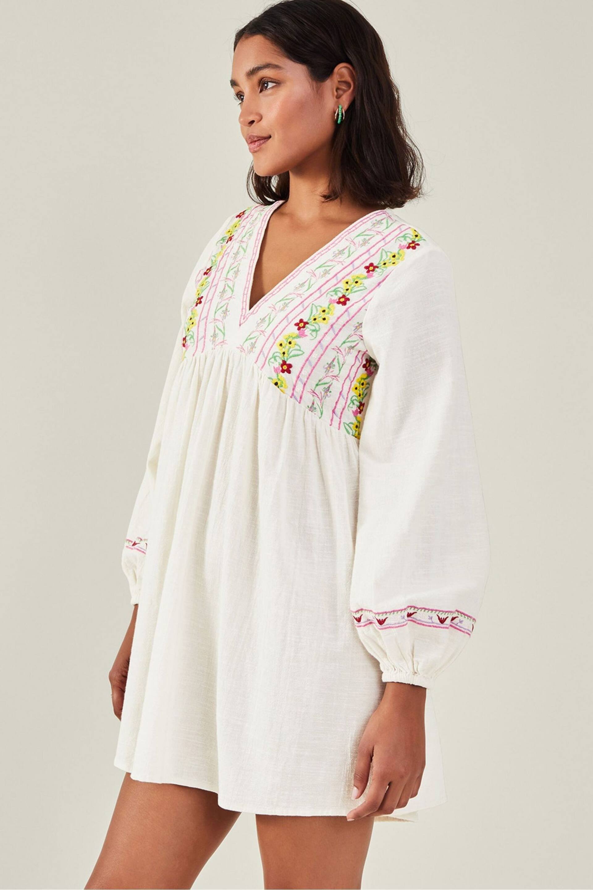 Accessorize Natural Floral Embroidered Mini Dress - Image 1 of 3