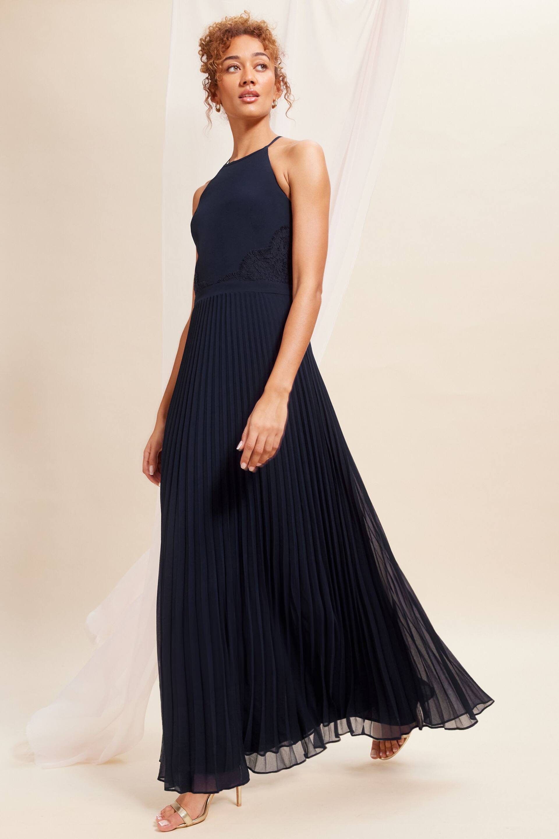 Love & Roses Navy Blue Pleated Lace Insert Bridesmaid Maxi Dress - Image 3 of 4