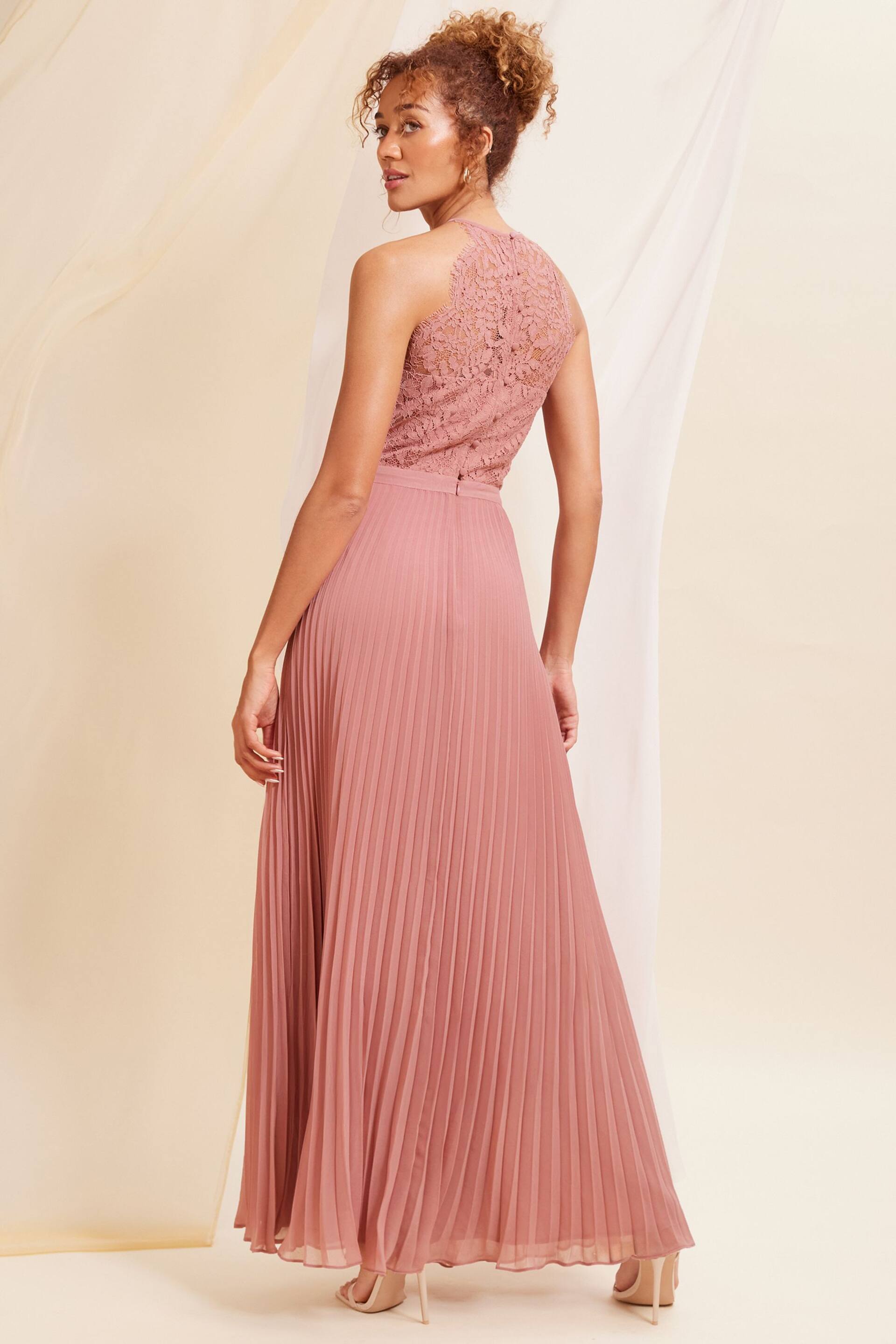 Love & Roses Pink Petite Pleated Lace Insert Bridesmaid Maxi Dress - Image 3 of 4