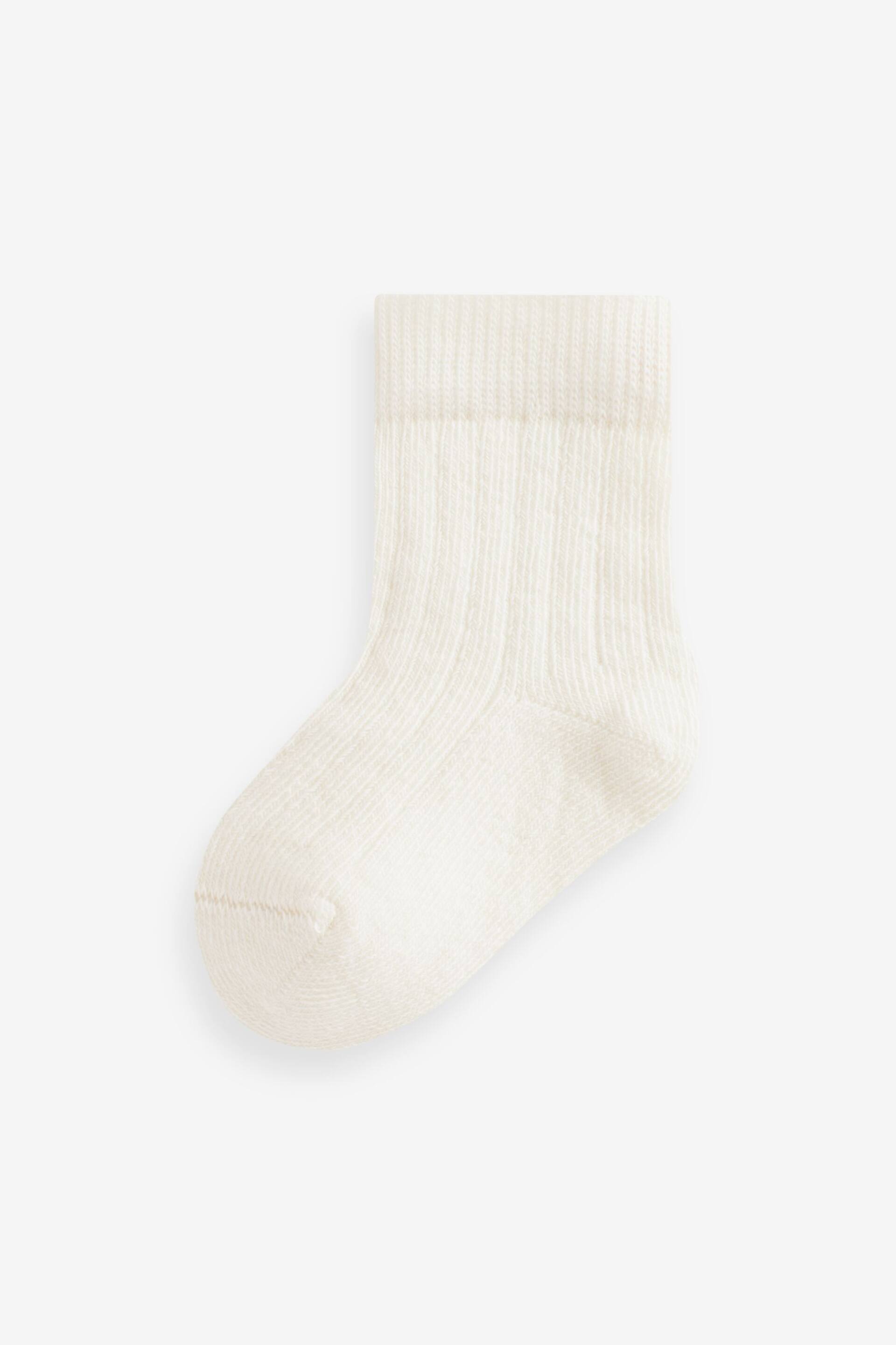 Brown 7 Pack Rib Baby Socks (0mths-2yrs) - Image 6 of 9