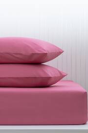 Pink Bright Cotton Rich Deep Fitted Sheet - Image 1 of 2