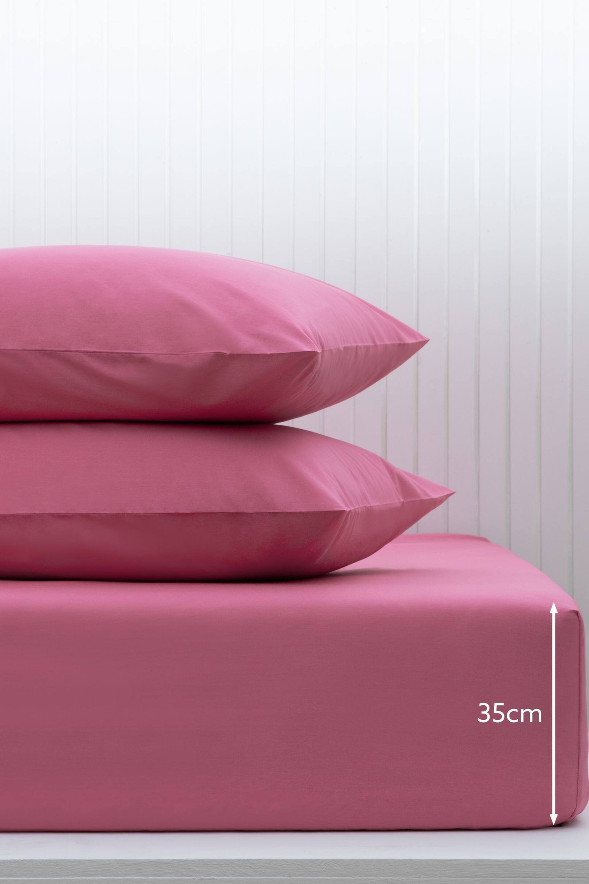 Pink Bright Cotton Rich Deep Fitted Sheet - Image 2 of 2