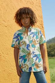 Cream Palm Junior Short Sleeve Printed Shirt (3-16yrs) - Image 4 of 5