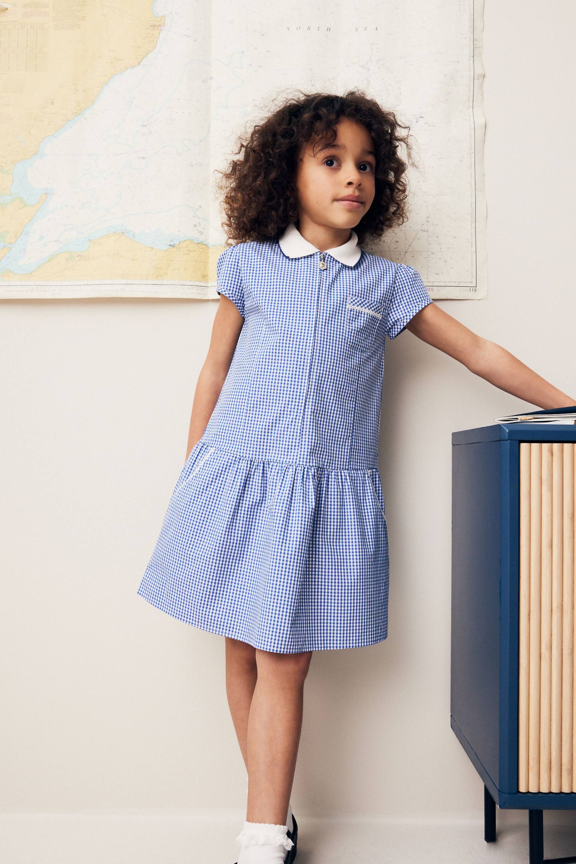 Mid Blue Cotton Rich School Gingham Zip Dress (3-14yrs) - Image 1 of 7