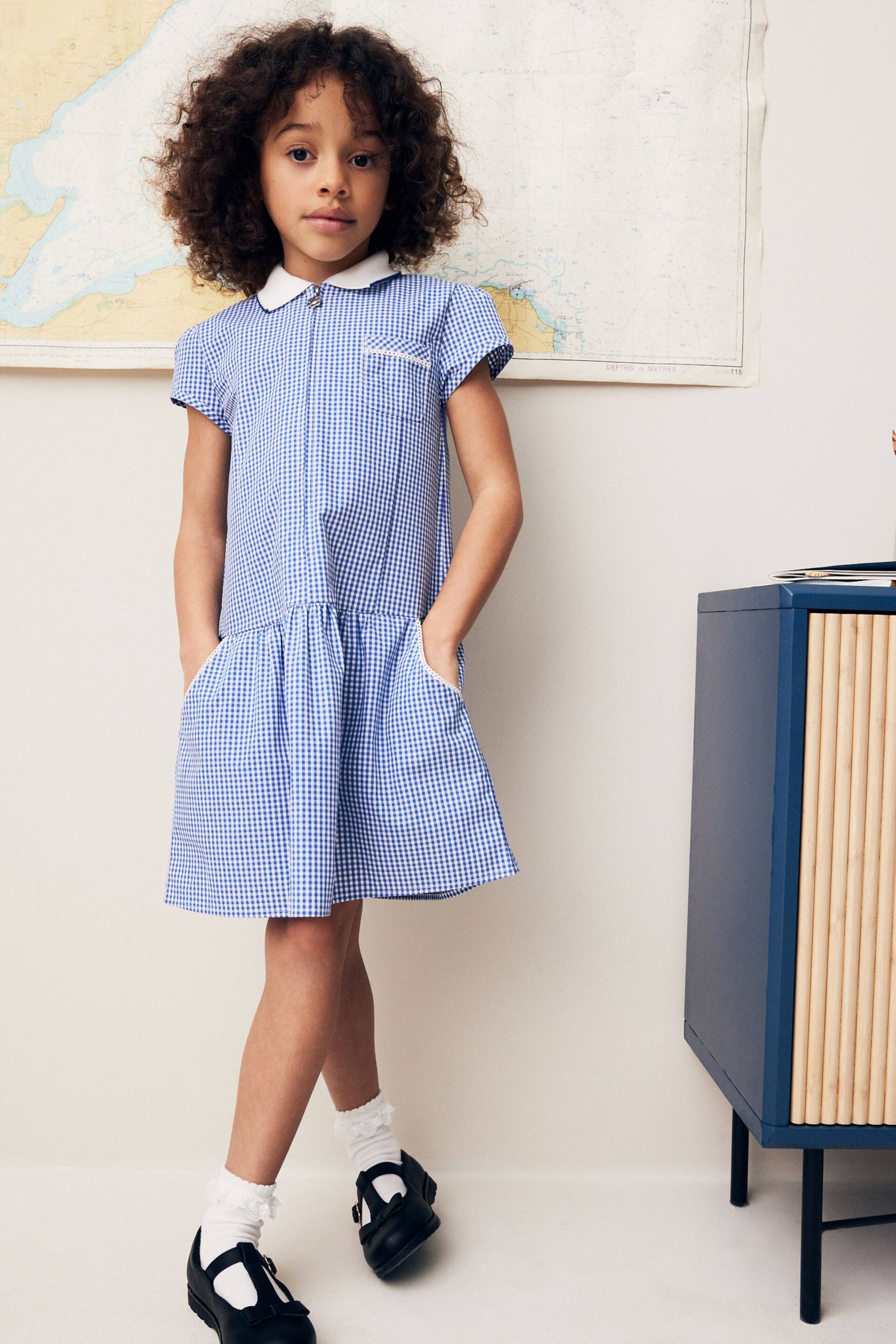 Mid Blue Cotton Rich School Gingham Zip Dress (3-14yrs) - Image 2 of 7