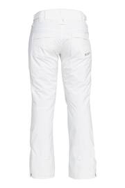 Roxy Snow Backyard Ski Trousers - Image 6 of 6