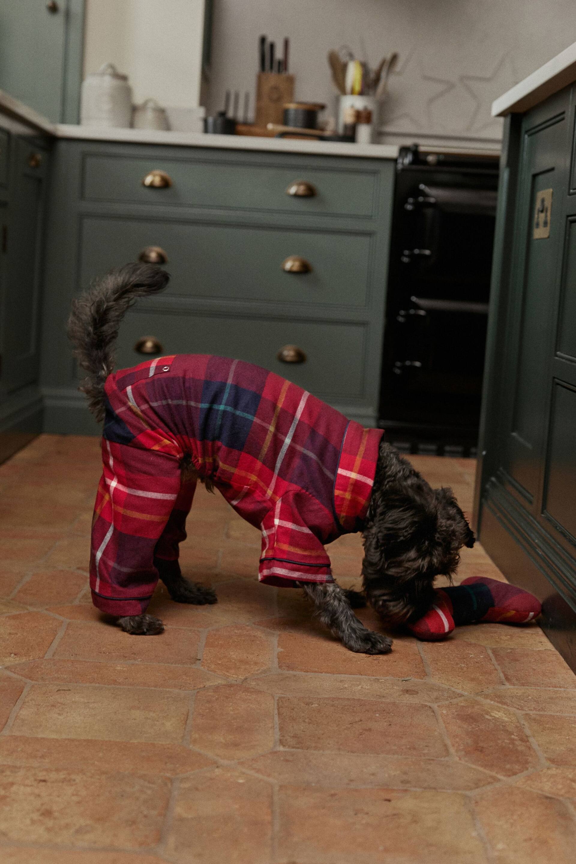 Red Check Matching Family Pet Christmas Cotton Pyjamas - Image 4 of 8
