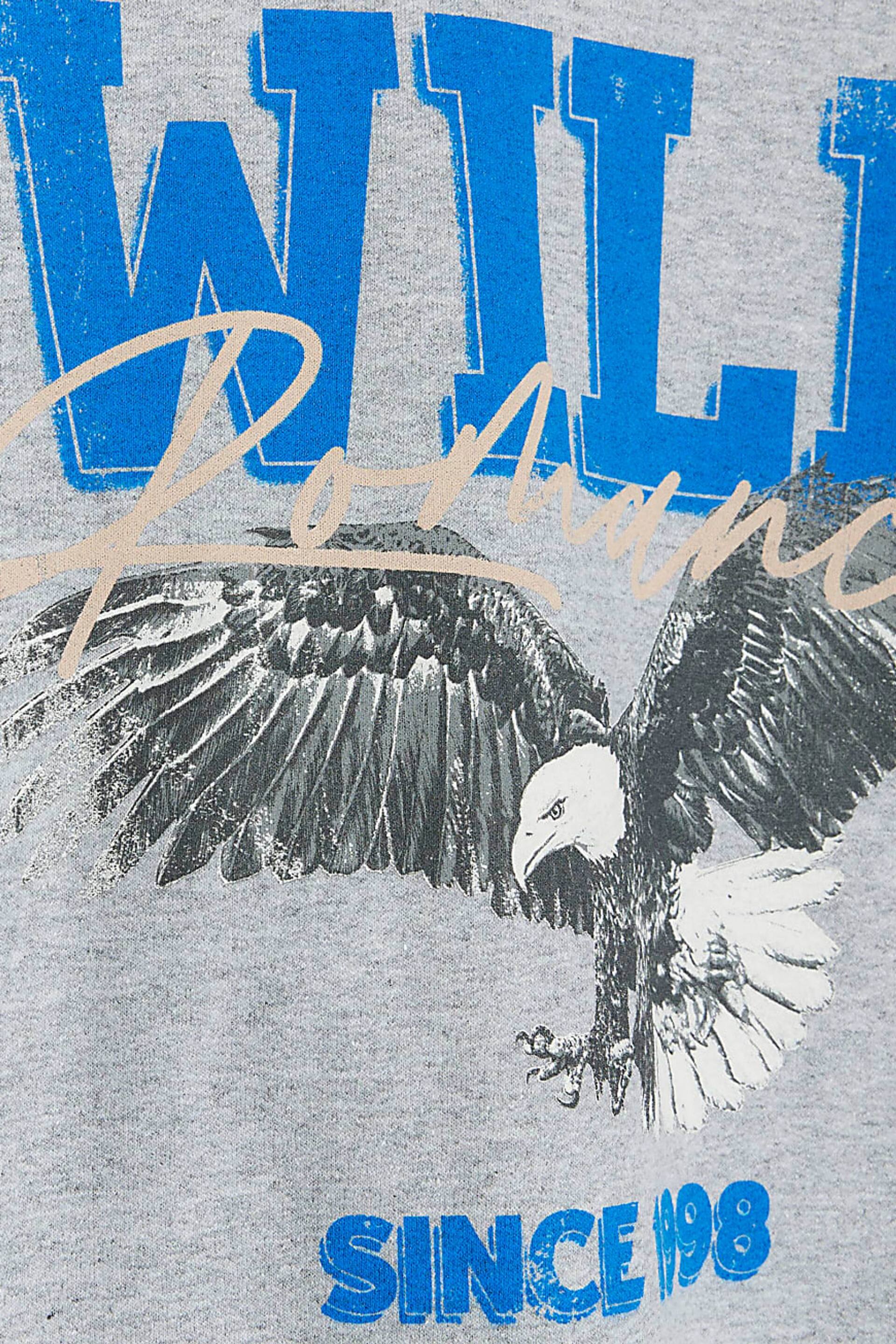 River Island Grey Wild Graphic Sweatshirt - Image 5 of 5