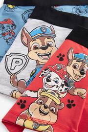 PAW Patrol License Trunks 3 Pack (1.5-14yrs) - Image 6 of 7