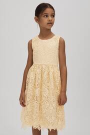 Reiss Lemon Daia Teen Fit-and-Flare Lace Dress - Image 3 of 6