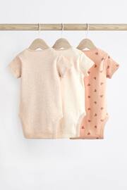 Neutral Bear Short Sleeve Baby Bodysuits 3 Pack - Image 5 of 10