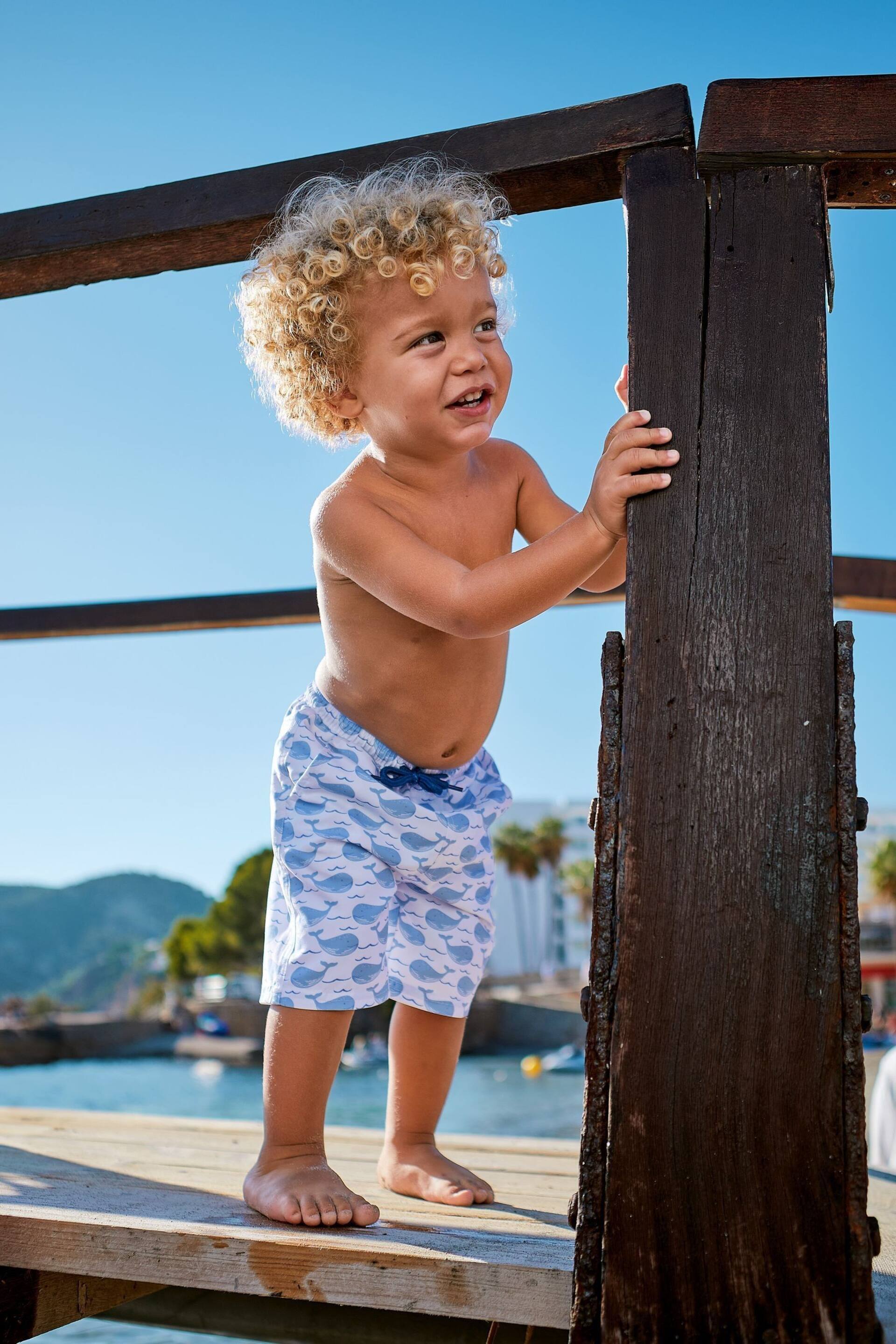 JoJo Maman Bébé Blue Gingham Swim Shorts - Image 1 of 5