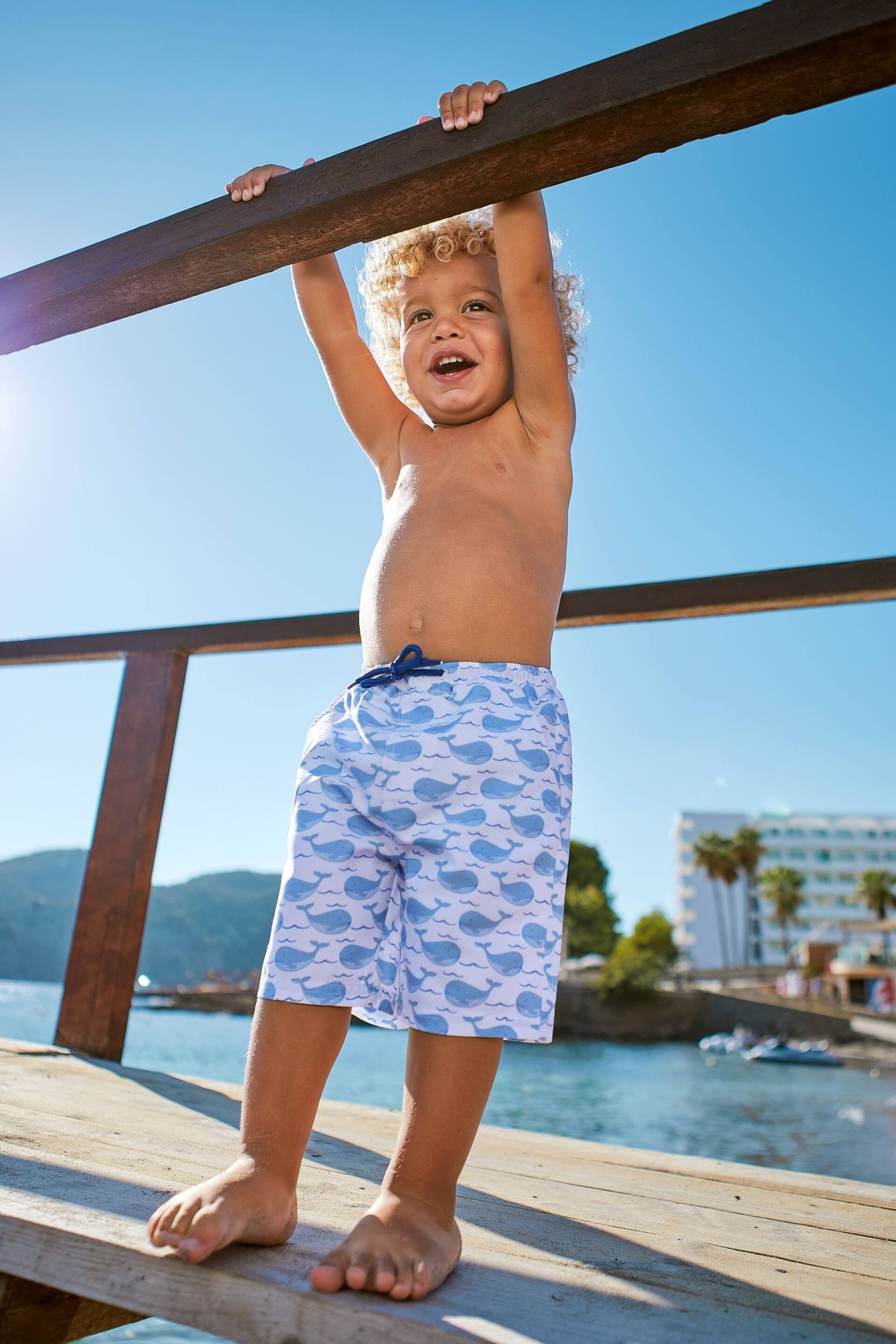 JoJo Maman Bébé Blue Gingham Swim Shorts - Image 2 of 5