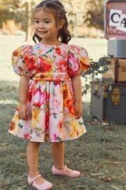 Pink/Yellow Floral Printed Taffeta Party Dress (3mths-8yrs) - Image 1 of 4