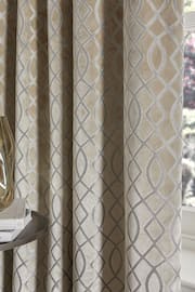 Champagne Gold Next Collection Luxe Heavyweight Maeve Damask Velvet Pencil Pleat Lined Curtains - Image 4 of 6